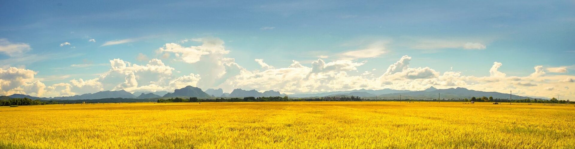 vietnam-3732375